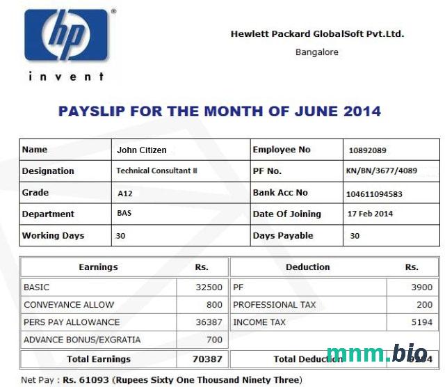 Odcinek wypłaty HP Hewlett Packard GlobalSoft Pvt. Ltd w formatach Word i PDF
